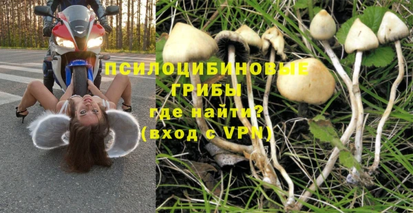 амф Алексеевка